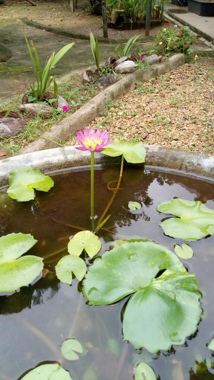 Leisure In 高尔 外观 照片