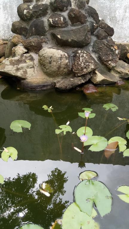 Leisure In 高尔 外观 照片