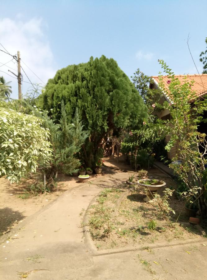 Leisure In 高尔 外观 照片